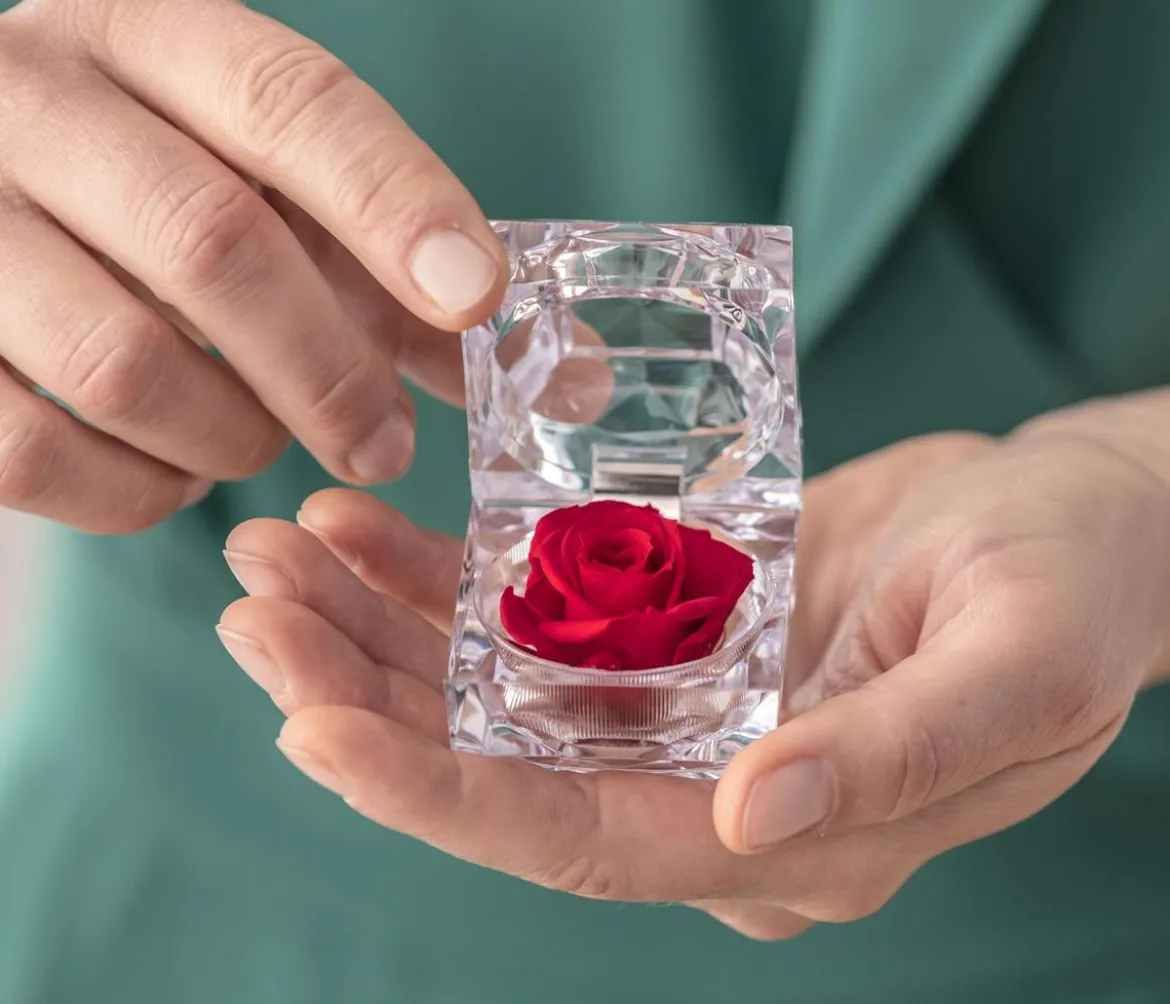Dehner Longlife-Rose in Juwelenbox, ca. Ø3,5 cm