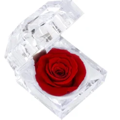 Dehner Longlife-Rose in Juwelenbox, ca. Ø3,5 cm