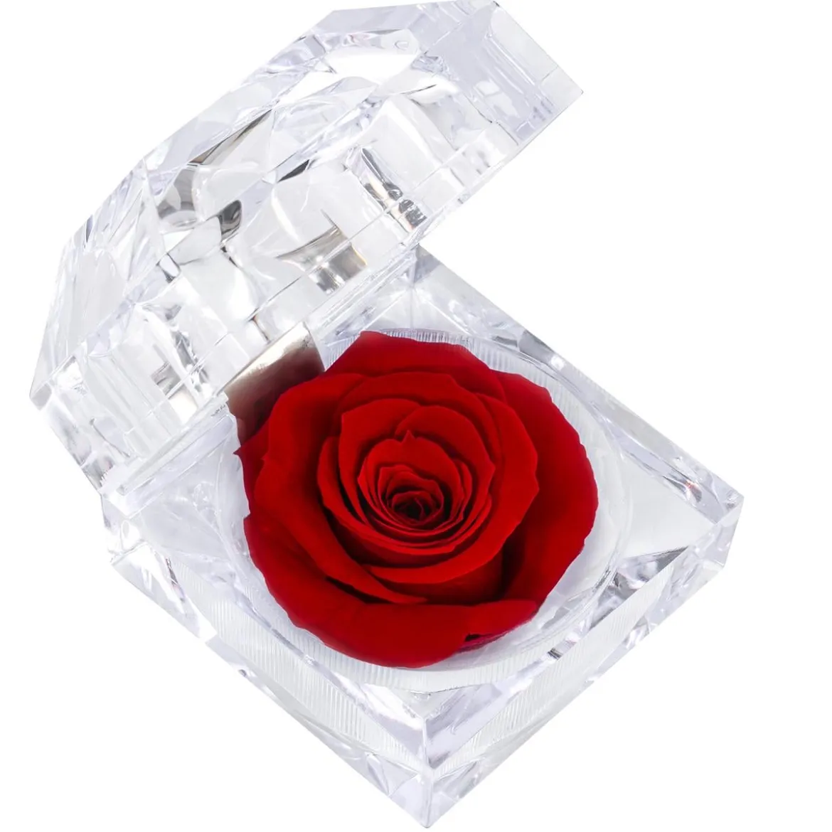 Dehner Longlife-Rose in Juwelenbox, ca. Ø3,5 cm