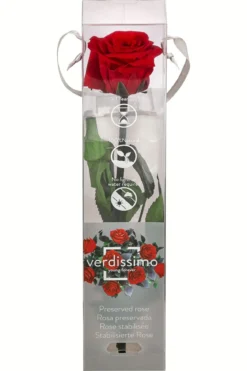 Dehner Longlife-Rose mit Stiel, rot