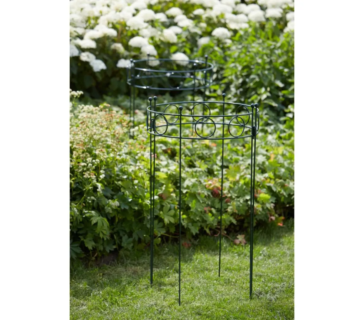 Dehner Metall-Pflanzenstütze Annabelle, ca. H100 cm