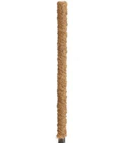 Dehner Moosstab