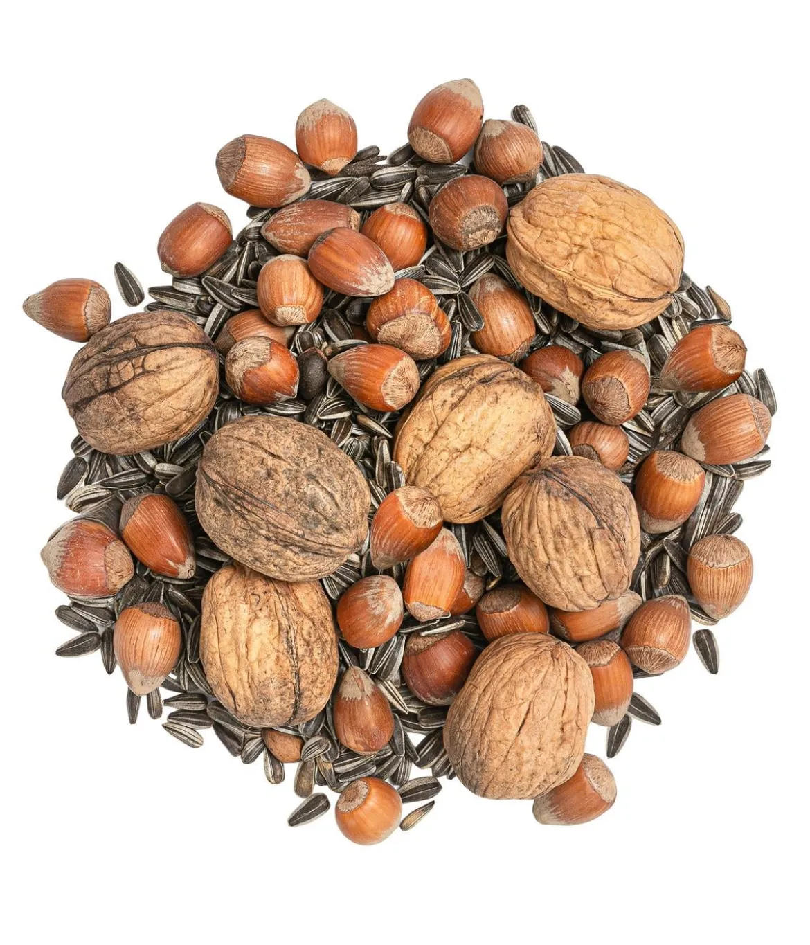 Dehner Natura Premium Eichhörnchenfutter Saaten-Nuss-Mix, 250 g