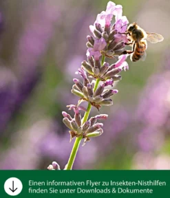 Dehner Natura Premium Insektenhotel Laurentia, ca. B19/H30/T11 cm