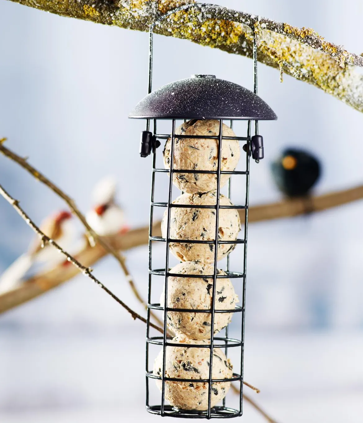 Dehner Natura Premium Meisenknödel-Säule gefüllt