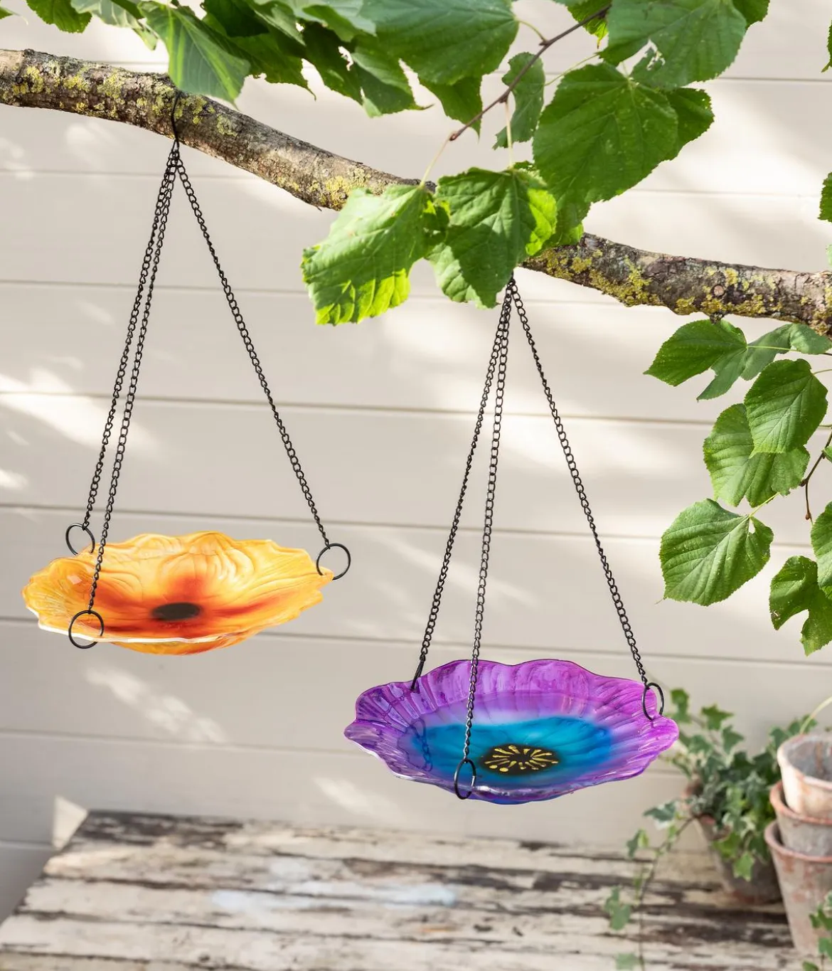 Dehner Natura Premium Vogeltränke, Glas, ca. Ø26/H49 cm