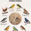 Dehner Natura Premium Wildvogelfutter Power-Meisenknödel im Eimer, mit Netz, 30 Stk.