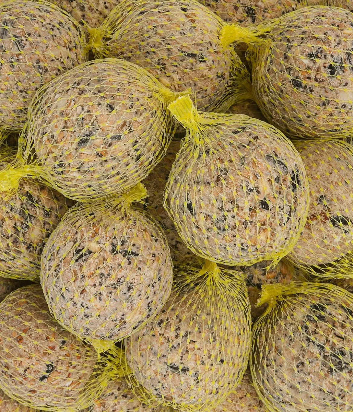 Dehner Natura Premium Wildvogelfutter Power-Meisenknödel im Eimer, mit Netz, 30 Stk.
