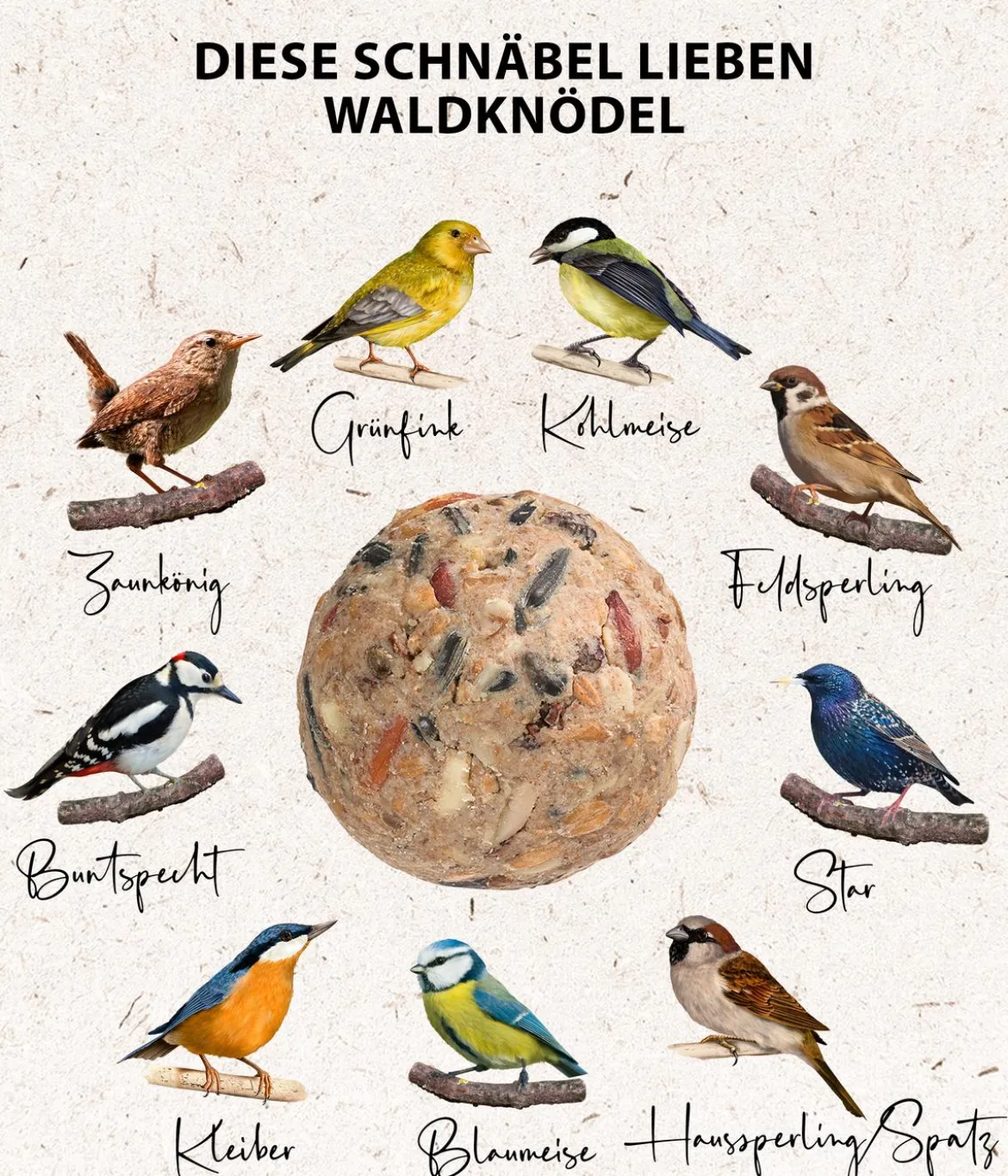 Dehner Natura Premium Wildvogelfutter Wald-Meisenknödel im Eimer, mit Netz, 30 Stk.