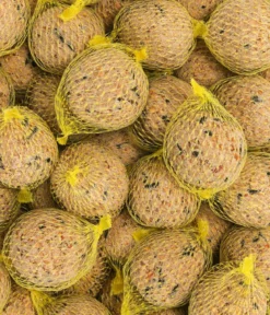 Dehner Natura Premium Wildvogelfutter Apfel-Meisenknödel im Eimer, mit Netz, 30 Stk.