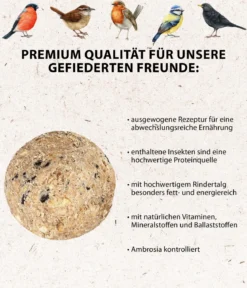 Dehner Natura Premium Wildvogelfutter Meisenknödel im Eimer, mit Netz, 100 Stk. + Gratis Insekten-Meisenknödel, mit Netz, 6 Stk.