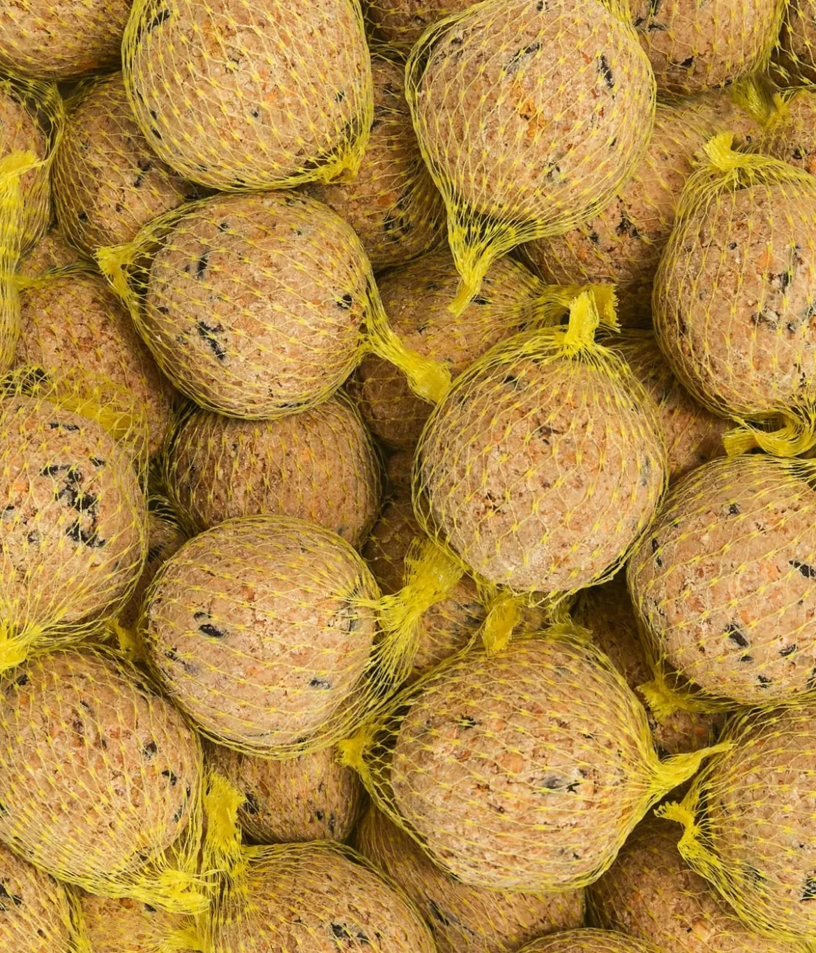 Dehner Natura Premium Wildvogelfutter Meisenknödel im Eimer, mit Netz, 100 Stk. + Gratis Insekten-Meisenknödel, mit Netz, 6 Stk.