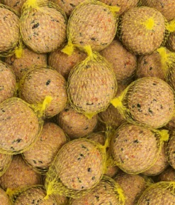 Dehner Natura Premium Wildvogelfutter Beeren-Meisenknödel im Karton, mit Netz, 30 Stk.