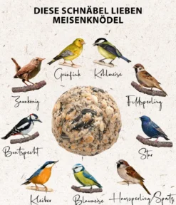 Dehner Natura Premium Wildvogelfutter Mohn-Meisenknödel im Eimer, mit Netz, 30 Stk.