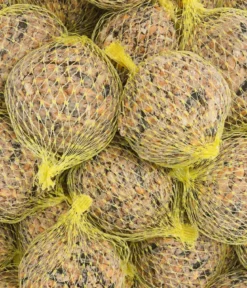 Dehner Natura Premium Wildvogelfutter Mohn-Meisenknödel im Eimer, mit Netz, 30 Stk.