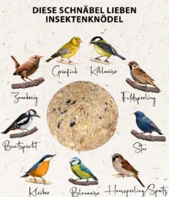 Dehner Natura Premium Wildvogelfutter Insekten-Meisenknödel im Karton, mit Netz, 30 Stk.
