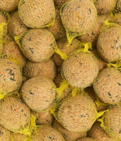 Dehner Natura Premium Wildvogelfutter Insekten-Meisenknödel im Karton, mit Netz, 30 Stk.