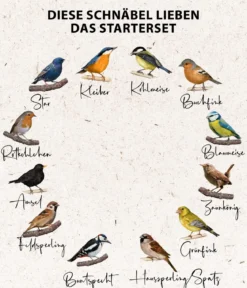 Dehner Natura Premium Wildvogelfutter Starterset, 7-teilig