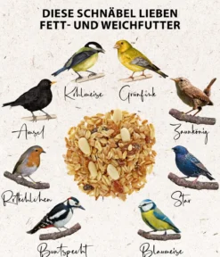 Dehner Natura Premium Wildvogelfutter-Set, Meisenknödel & Weichfutter, 2-teilig