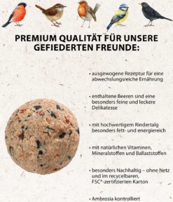 Dehner Natura Premium Wildvogelfutter Beeren-Meisenknödel im Karton, ohne Netz, 100 Stk.