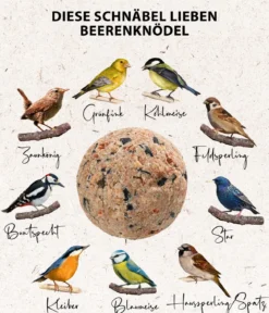 Dehner Natura Premium Wildvogelfutter Beeren-Meisenknödel im Karton, ohne Netz, 100 Stk.