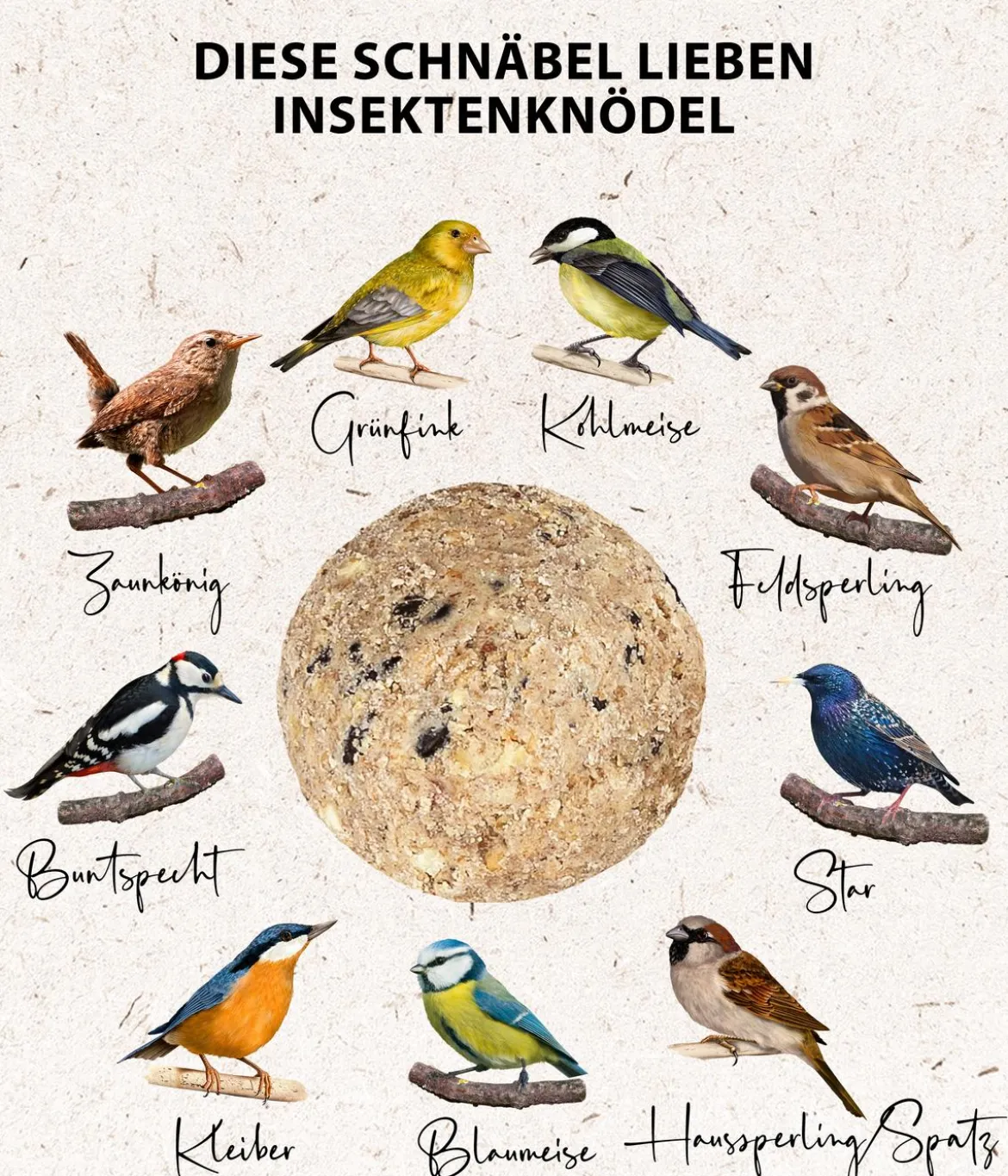 Dehner Natura Premium Wildvogelfutter Insekten-Meisenknödel im Karton, ohne Netz, 100 Stk.