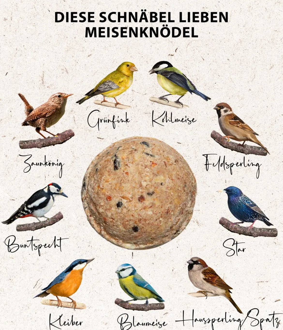 Dehner Natura Premium Wildvogelfutter Meisenknödel im Eimer, mit Netz