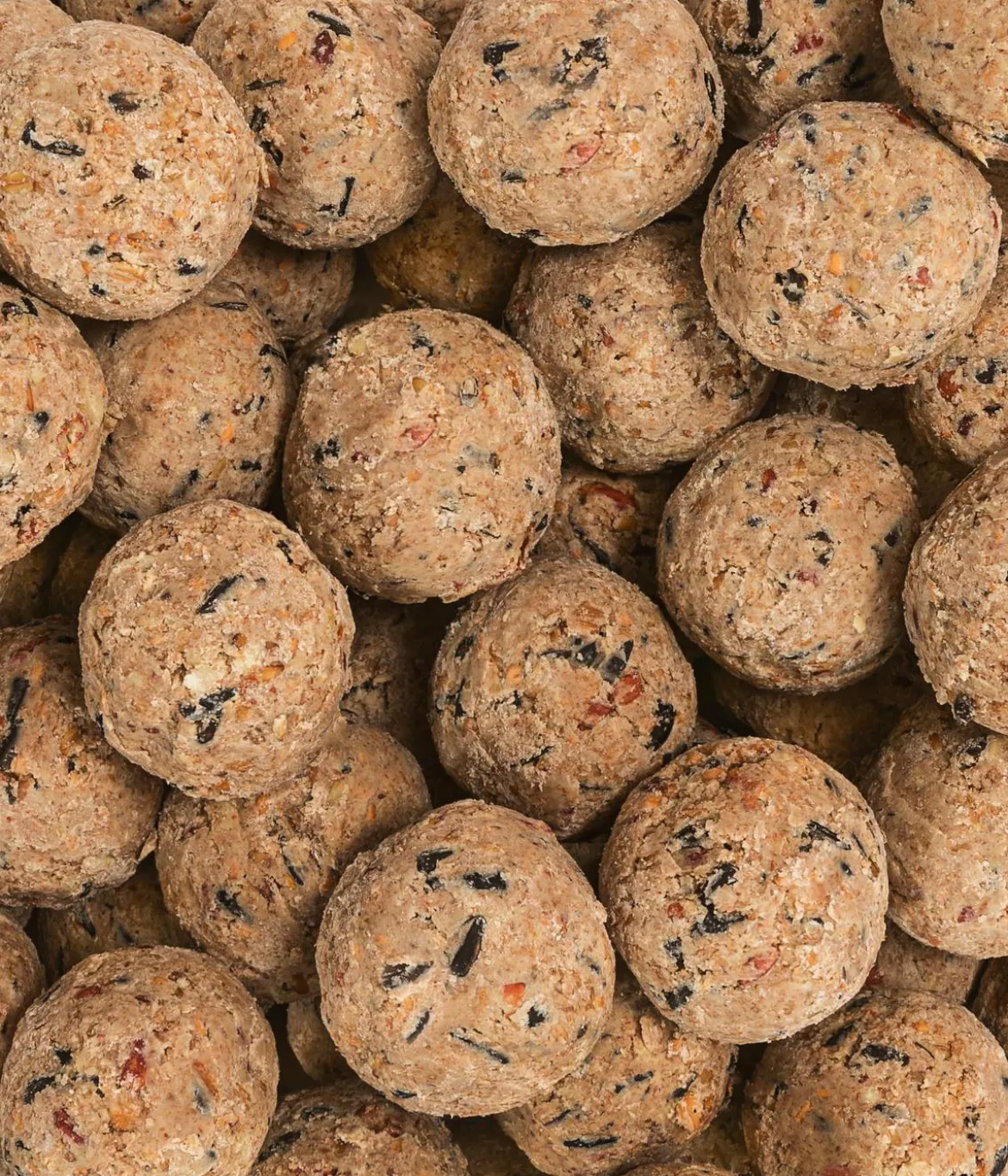 Dehner Natura Premium Wildvogelfutter Meisenknödel im Eimer, ohne Netz