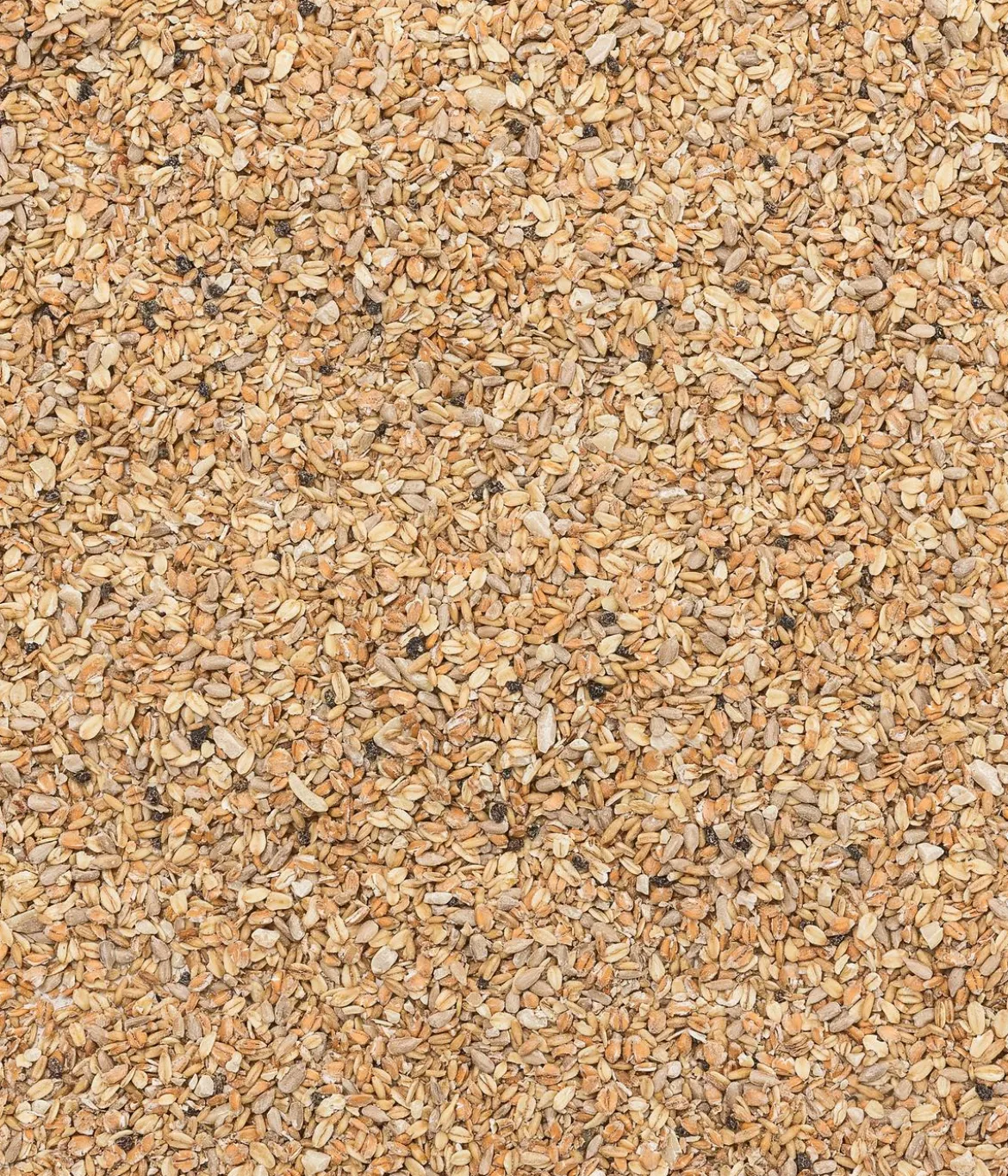 Dehner Natura Premium Wildvogelfutter Ganzjahresfutter Terrassen-Mix, 900 g