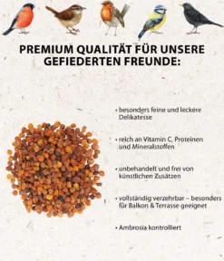 Dehner Natura Premium Wildvogelfutter Ebereschenbeeren, 350 g