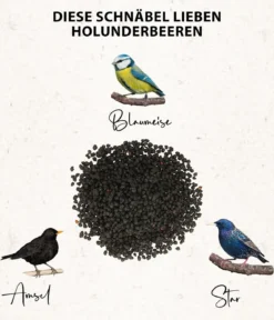 Dehner Natura Premium Wildvogel Ganzjahresfutter Holunderbeeren, 450 g