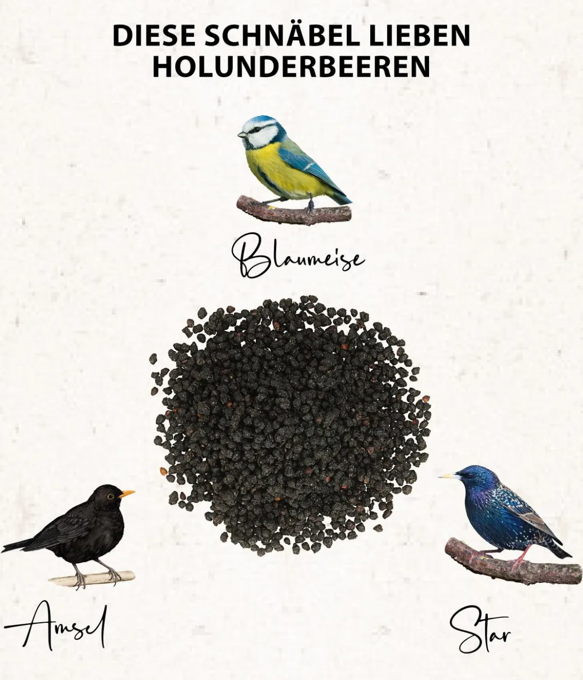 Dehner Natura Premium Wildvogel Ganzjahresfutter Holunderbeeren, 450 g