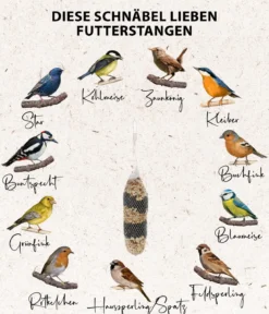 Dehner Natura Premium Wildvogelfutter Maxi Futter-Stange, 600 g