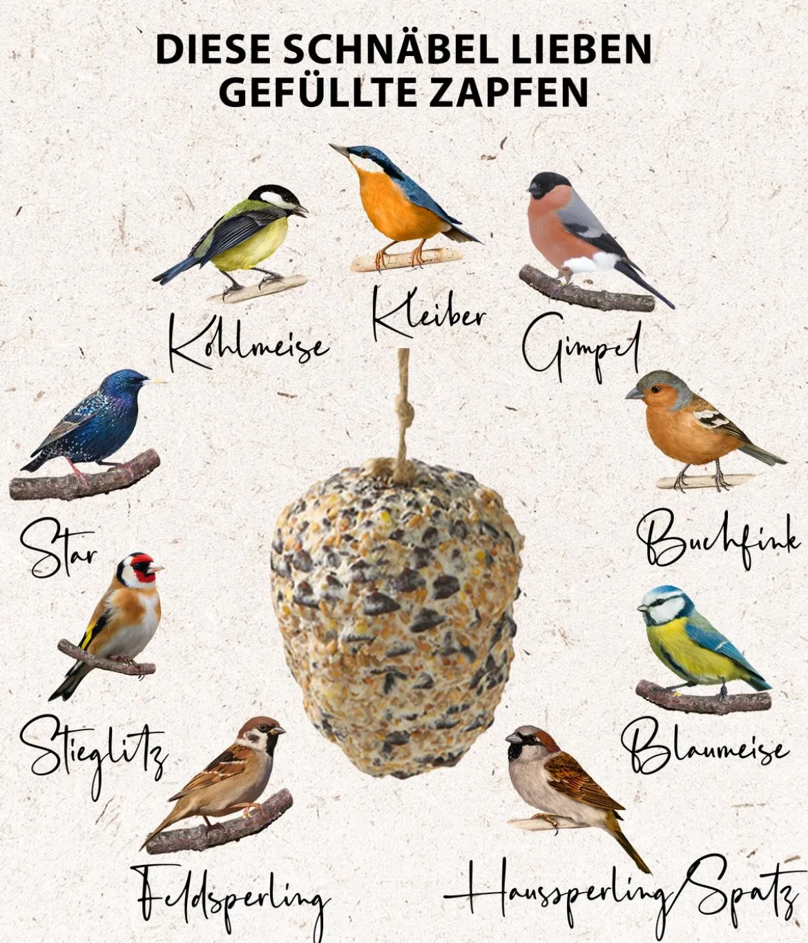Dehner Natura Premium Wildvogelfutter Riesen-Futterzapfen