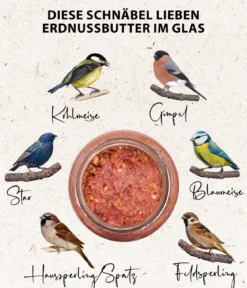 Dehner Natura Premium Wildvogelfutter Erdnussbutter im Glas, Beeren, 8 x 340 g