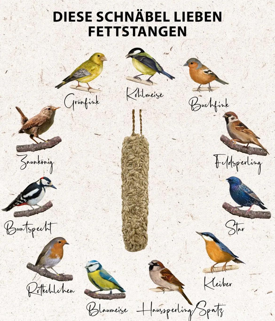 Dehner Natura Premium Wildvogelfutter Fettstange mit Sonnenblumenkernen
