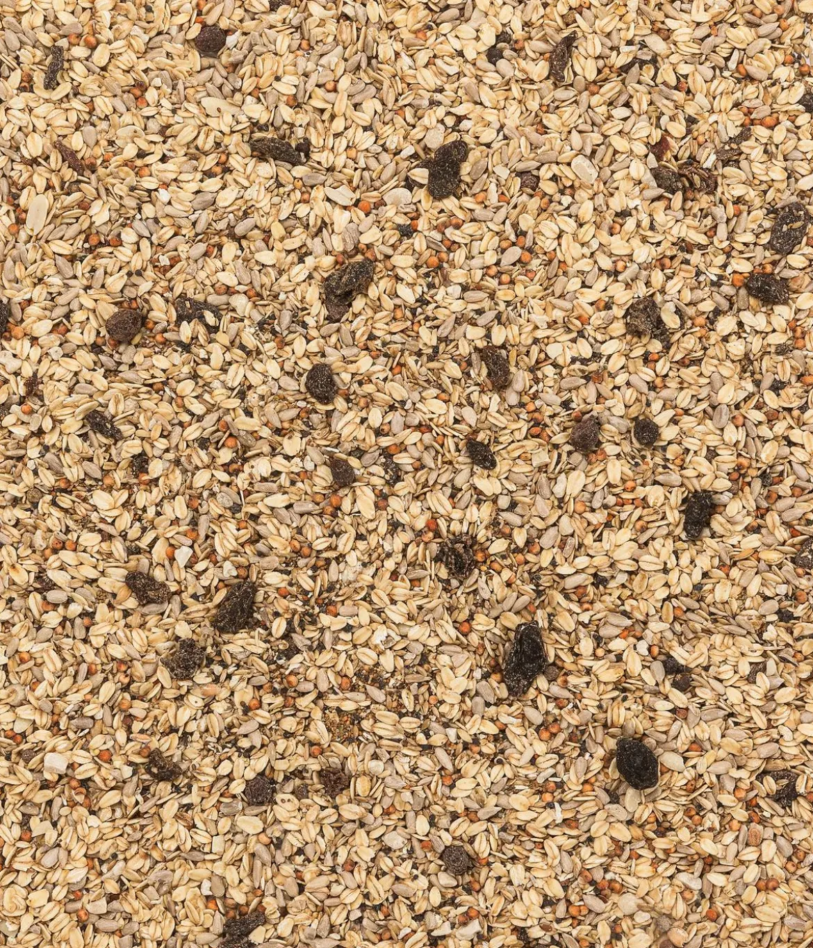 Dehner Natura Premium Wildvogelfutter Ganzjahresfutter Aktiv-Mix, 900 g