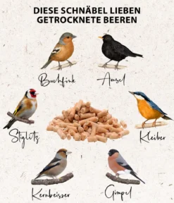 Dehner Natura Premium Wildvogelfutter Gourmet Sticks mit Beeren