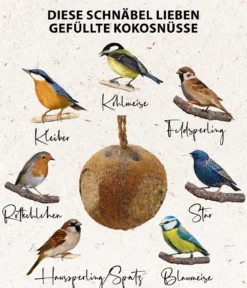 Dehner Natura Premium Wildvogel Kokosnuss mit Fettfuttermischung