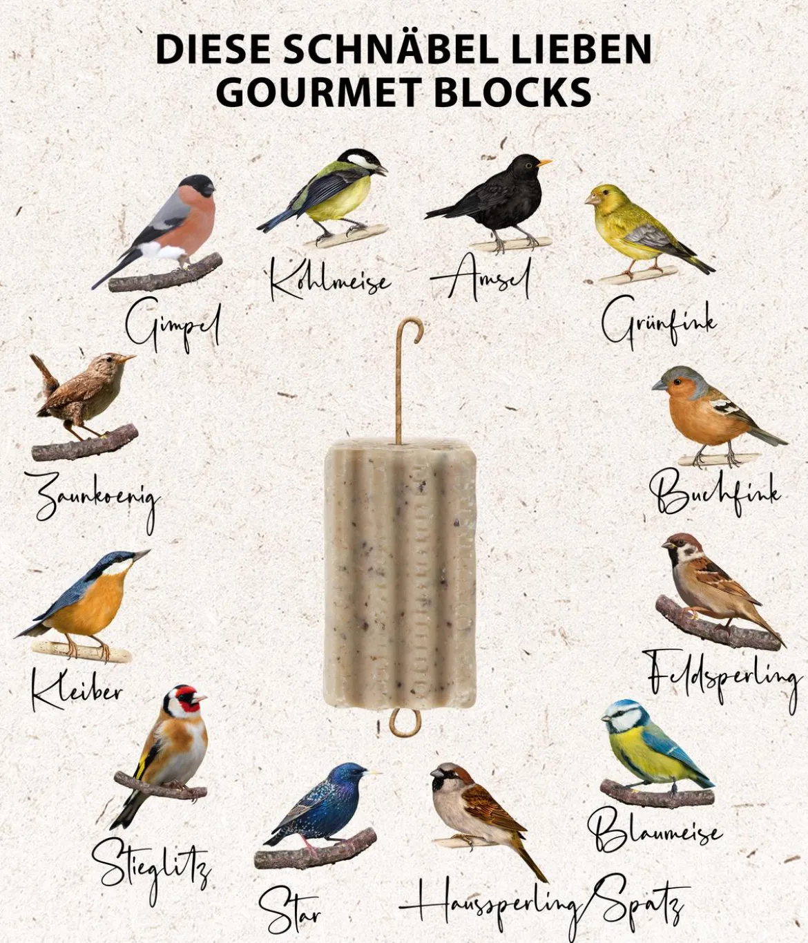 Dehner Natura Premium Wildvogelfutter Gourmet Blocks mit Mehlwürmern, 6 Stk á ca. 90 g