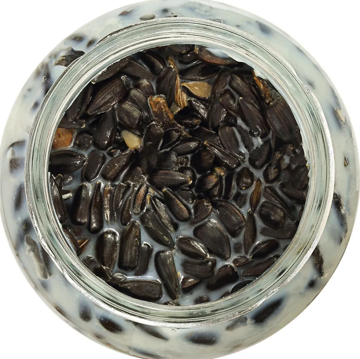 Dehner Natura Premium Wildvogelfutter Rindertalg im Glas, Sonnenblumenkerne, 8 x 250 g