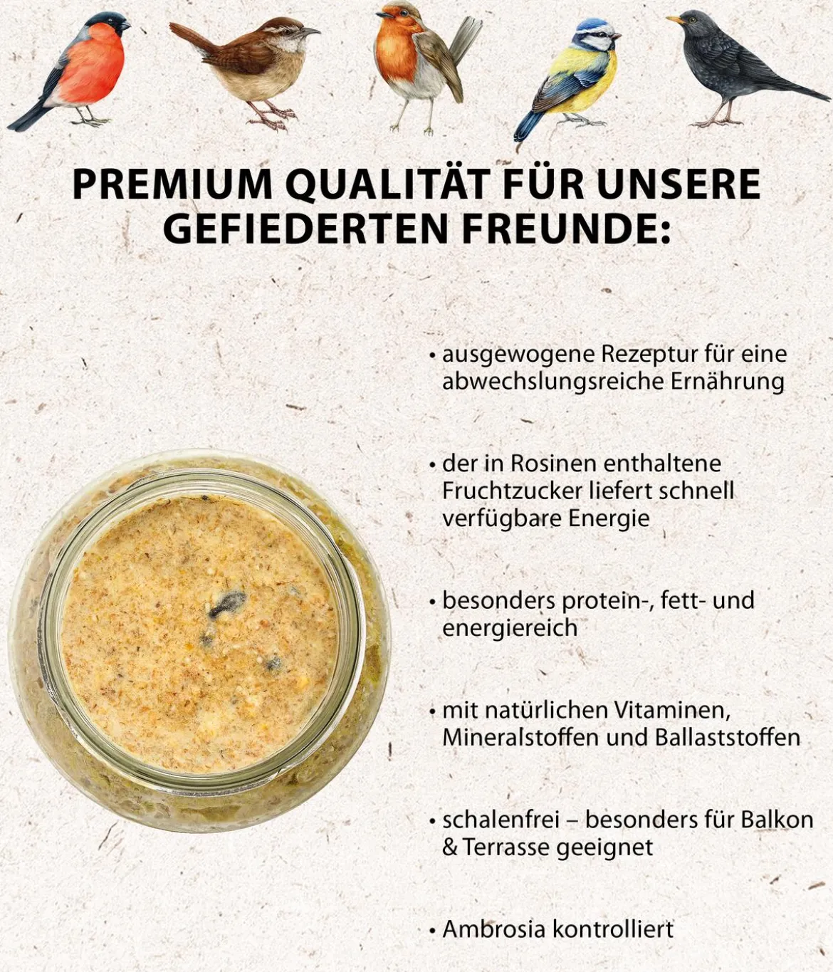 Dehner Natura Premium Wildvogelfutter Erdnussbutter im Glas, 3 x 2 Stk.