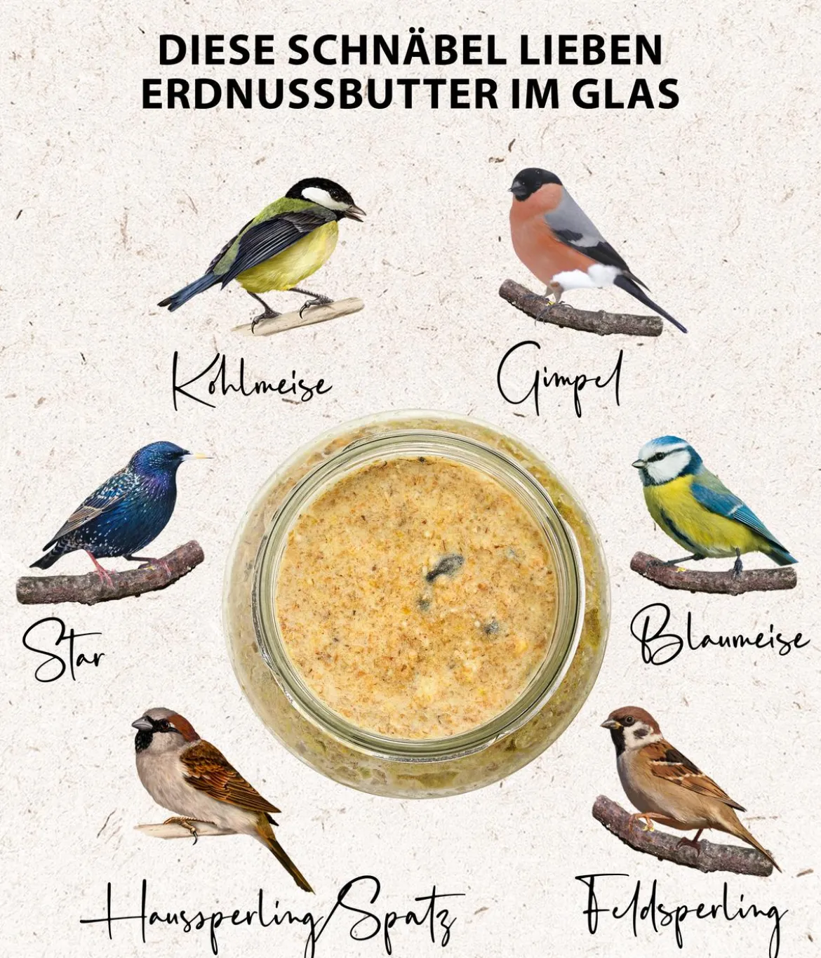 Dehner Natura Premium Wildvogelfutter Erdnussbutter im Glas, Rosine, 8 x 340 g