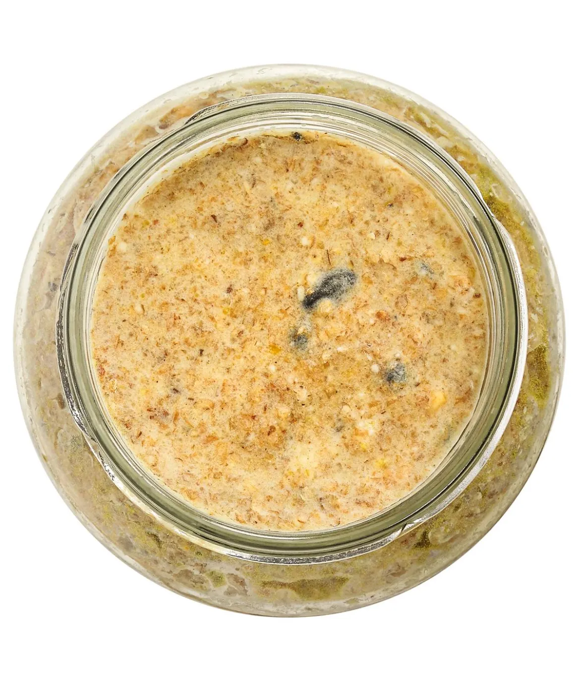 Dehner Natura Premium Wildvogelfutter Erdnussbutter im Glas, Rosine, 8 x 340 g