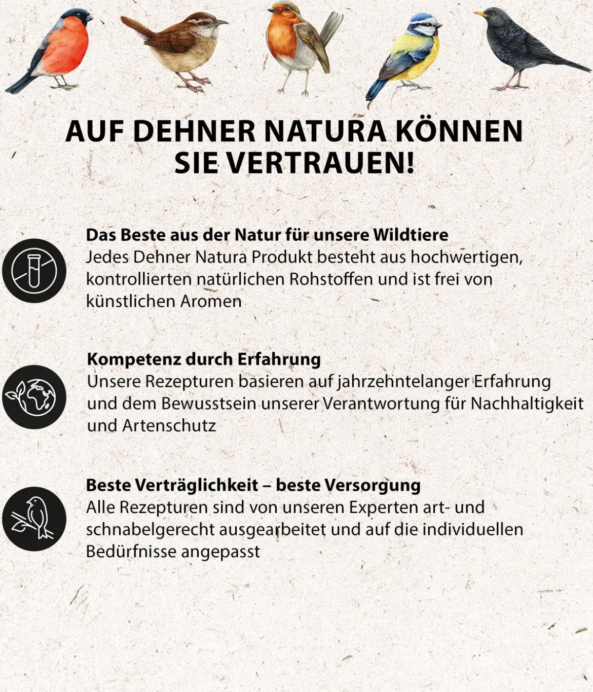 Dehner Natura Premium Wildvogelfutter Erdnussbutter im Glas, Rosine, 8 x 340 g
