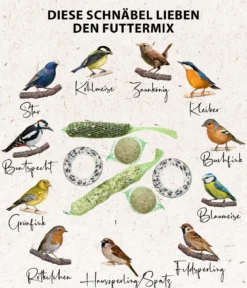 Dehner Natura Premium Wildvogelfutter Gourmet-Mix, 420 g