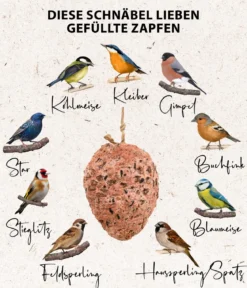 Dehner Natura Premium Wildvogelfutter Pinienzapfen