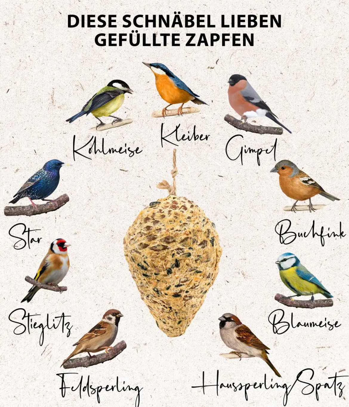 Dehner Natura Premium Wildvogelfutter Pinienzapfen