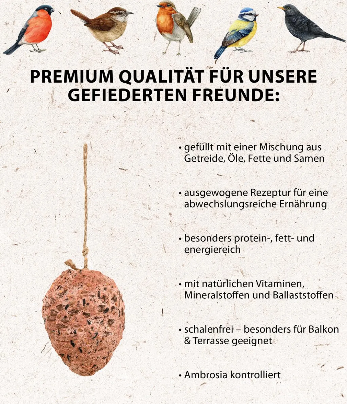 Dehner Natura Premium Wildvogelfutter Pinienzapfen