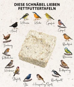 Dehner Natura Premium Wildvogelfutter Futtertafel mit Insekten, 12x300 g